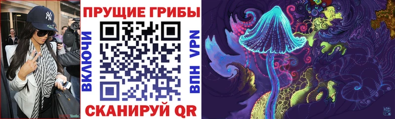 Галлюциногенные грибы MAGIC MUSHROOMS где найти наркотики Бакал